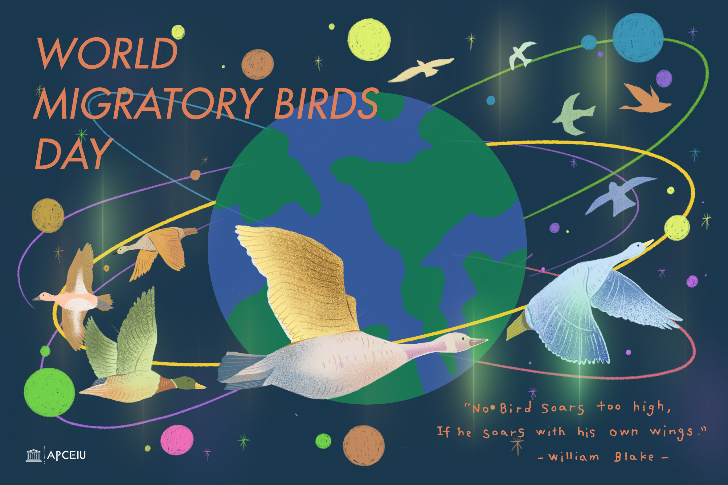 World Migratory Birds Day_Illustration.jpg