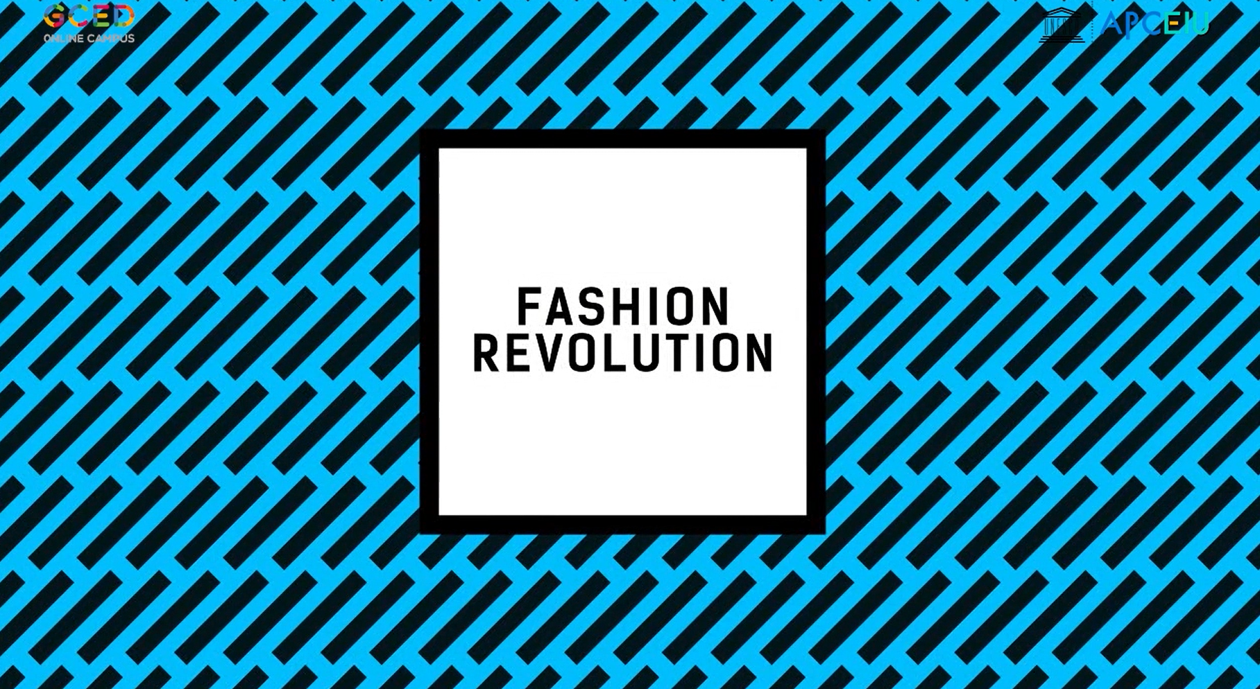 Fashion Revolution_Thumbnail (2).png